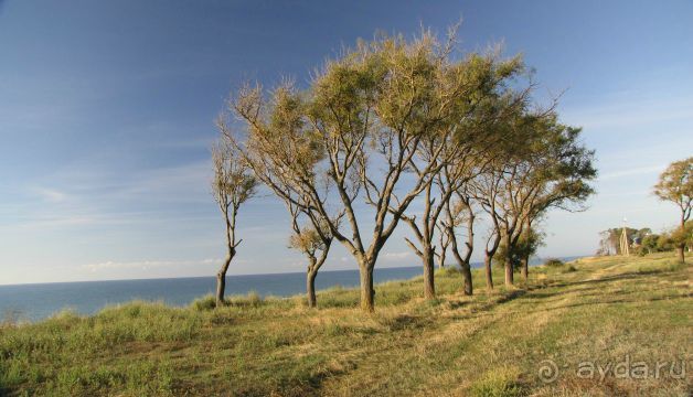 фото Затоки