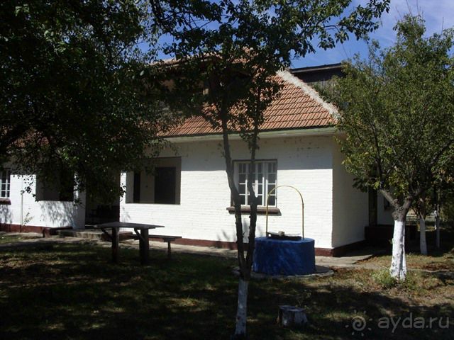 фото Затоки