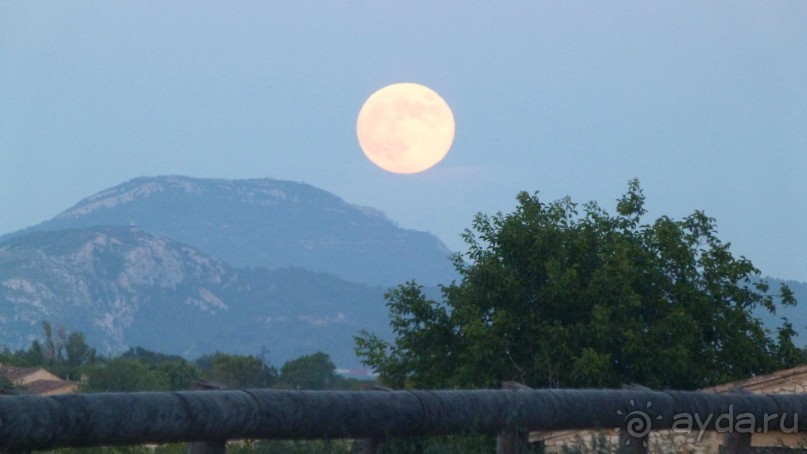Лавандовые поля в Провансе !