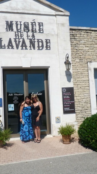 Лавандовые поля в Провансе !