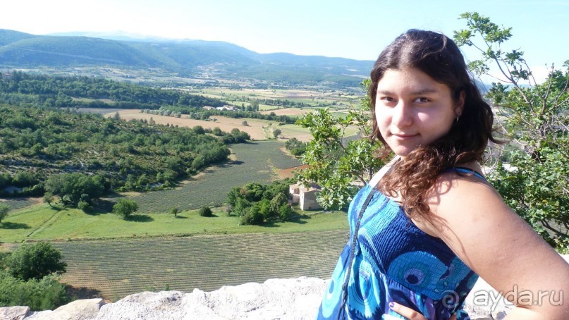 Лавандовые поля в Провансе !