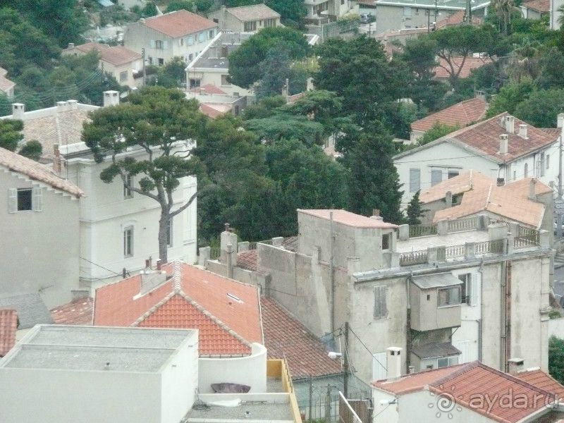 Лавандовые поля в Провансе