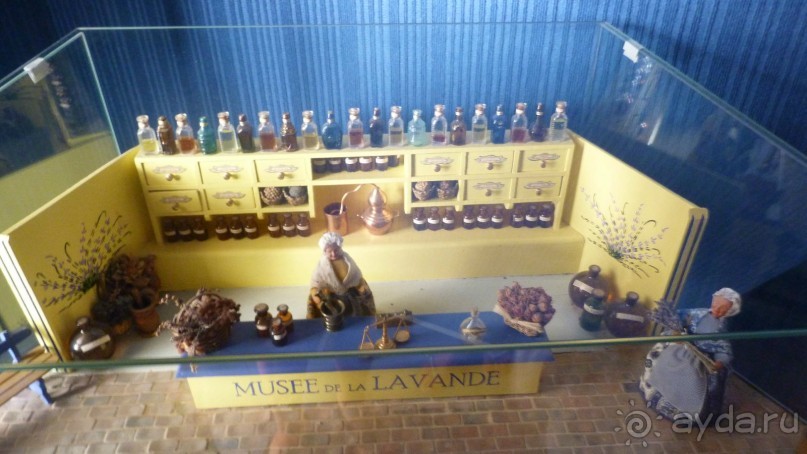 Лавандовые поля в Провансе