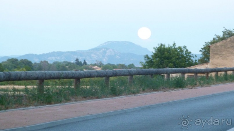 Лавандовые поля в Провансе