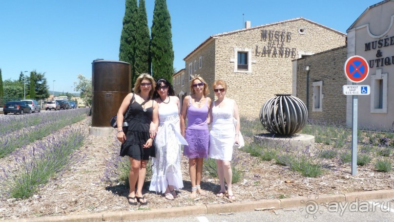 Лавандовые поля в Провансе