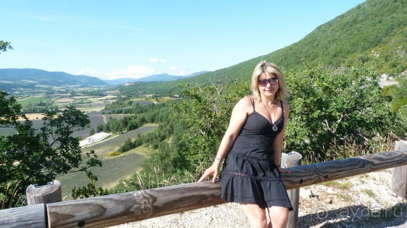 Лавандовые поля в Провансе