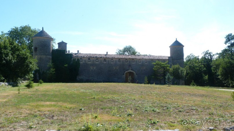 Лавандовые поля в Провансе