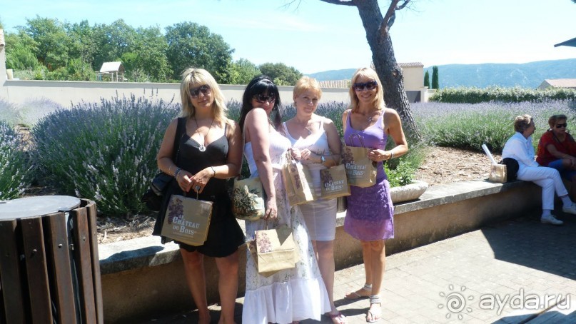 Лавандовые поля в Провансе