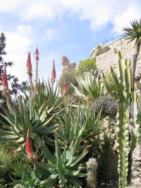 ИТАЛИЯ : ВЕНТИМИЛЬ--САН-РЕМО--МЕНТОН--ЭЗ.