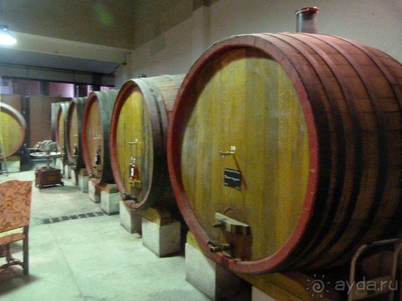  « Уникальный  калейдоскоп  путешествий  на  Юге     Франции » 