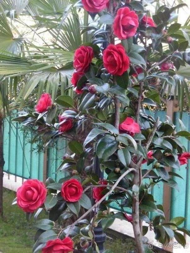 Спокойный отель на берегу моря.