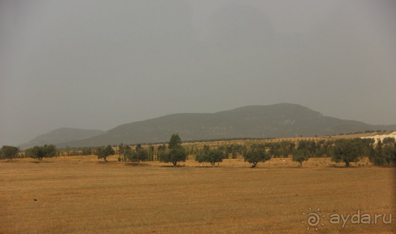 Тунис из окна автобуса