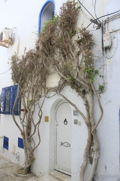 Хаммамет, старый город