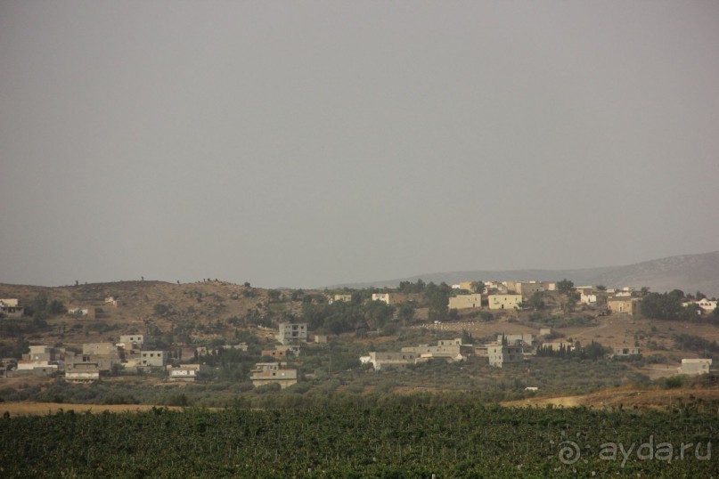 Тунис из окна автобуса