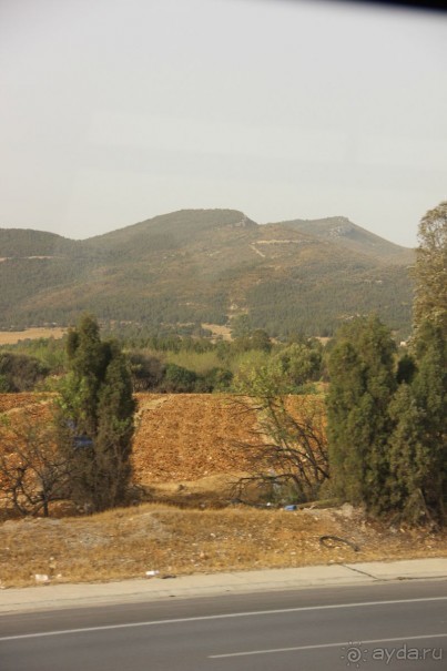 Тунис из окна автобуса