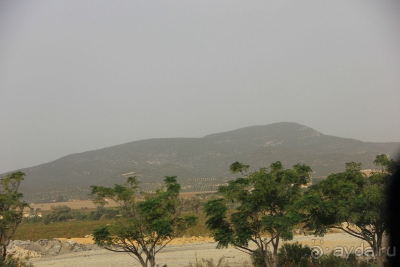 Тунис из окна автобуса