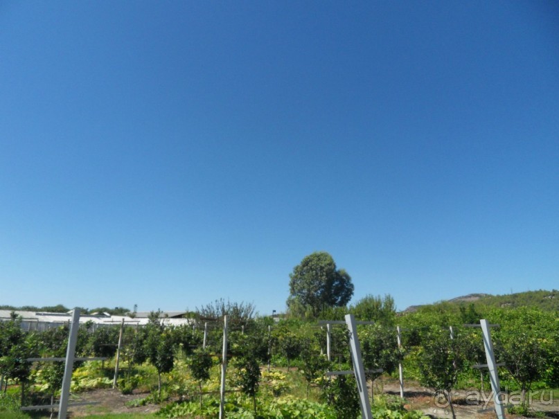 Все для спокойного семейного отдыха.