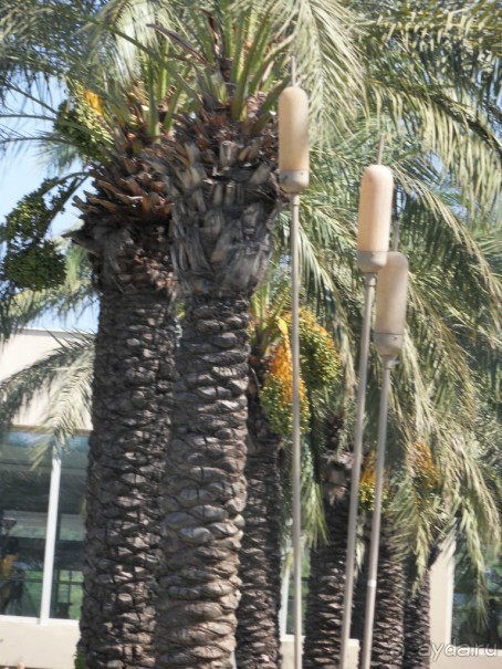 фото Cortecito Inn