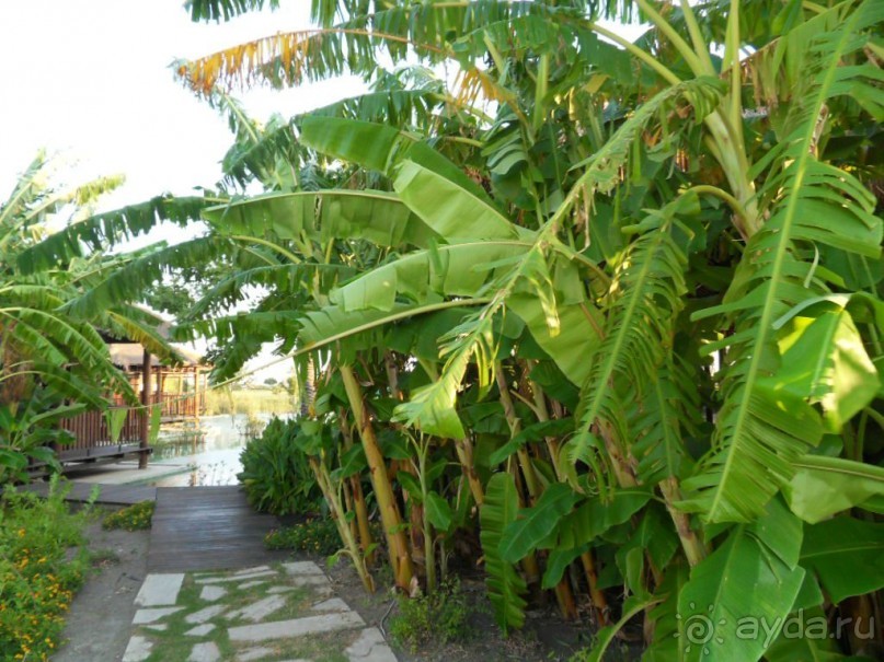 фото Cortecito Inn