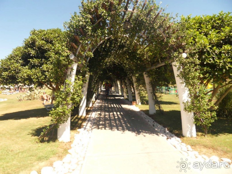 фото Cortecito Inn