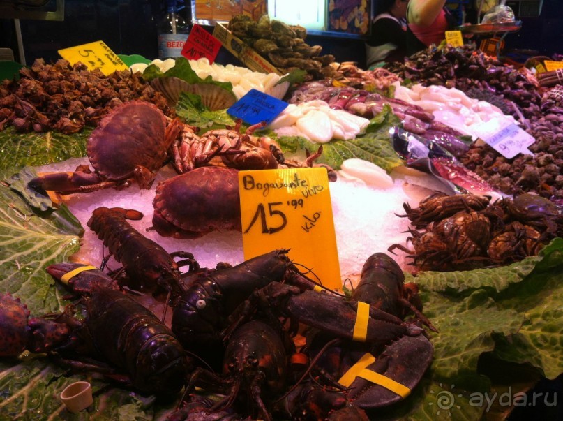 Мои путешествия. Франция.Египет. Испания.