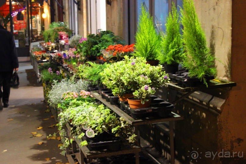 Улицы Парижа.