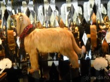 Витрина магазина. Париж.