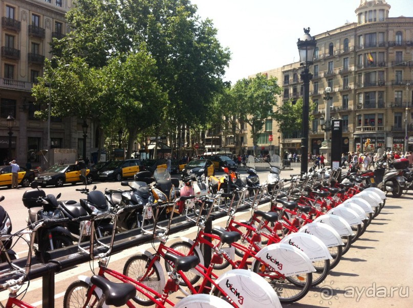 Мои путешествия. Франция.Египет. Испания.