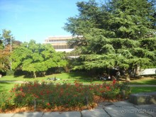                Мой   шаг в ....Швейцарию!