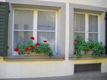                Мой   шаг в ....Швейцарию!