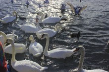                Мой   шаг в ....Швейцарию!