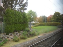                Мой   шаг в ....Швейцарию!