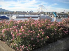 У озера...  Даже есть телескоп!