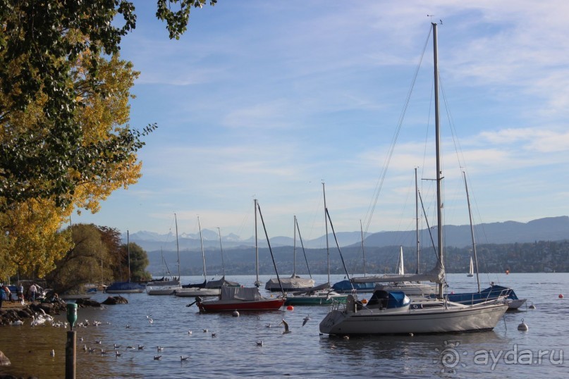 Там, вдали - снежные Альпы... Примерно, за 200 км. от  Цюриха.