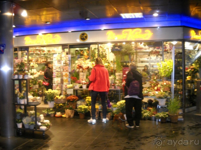 Цветы... Их много в аэропорту.