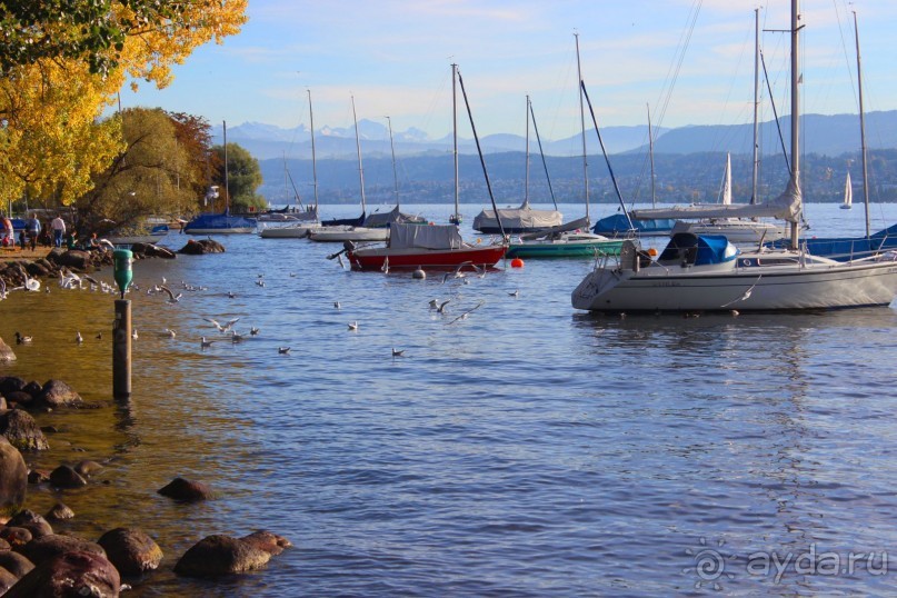                Мой   шаг в ....Швейцарию!