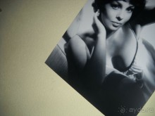 Уютное гнездышко.