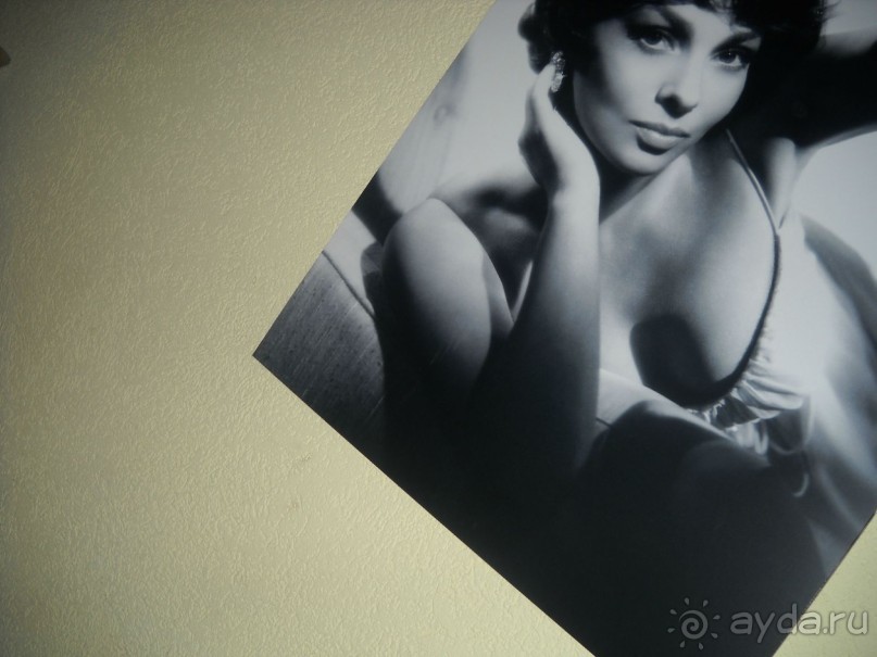 Уютное гнездышко.