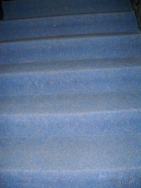   А это наши  ступеньки...