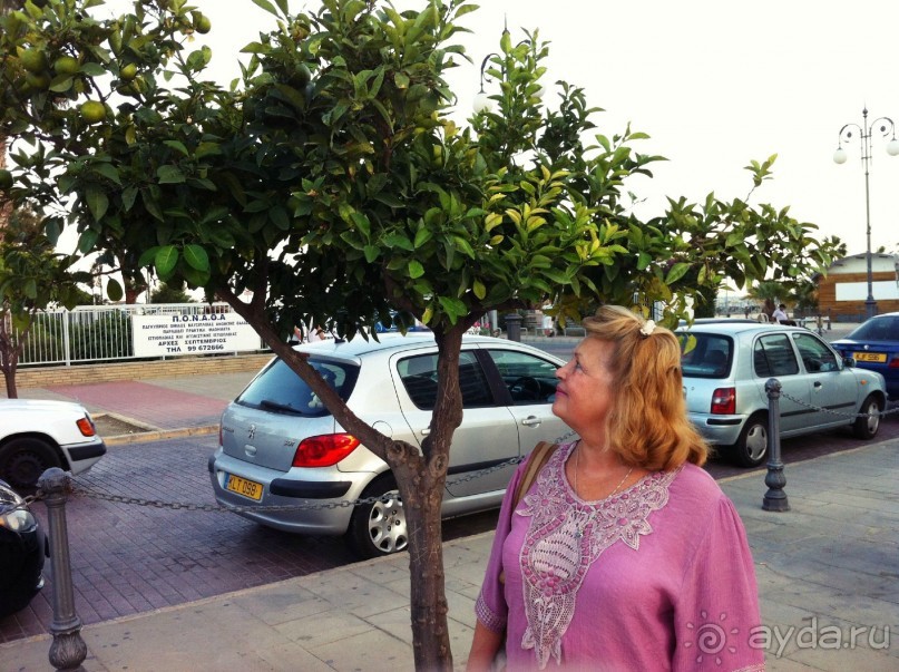 Машины, море, мандарины!  И все это - Ларнака!