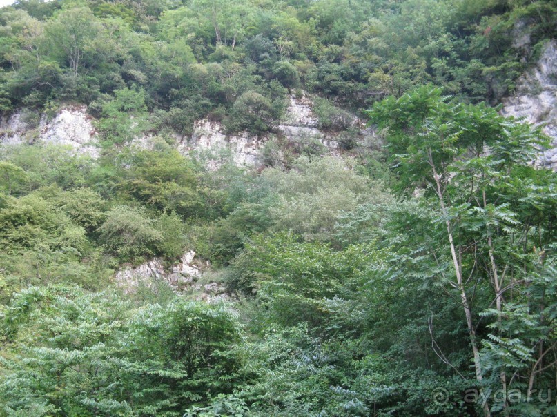 Минусы отдыха в Абхазии