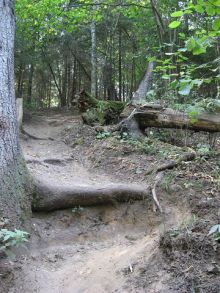 Отличные озёра.