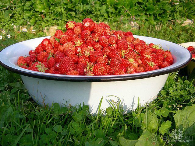 Отличные озёра.