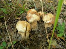 Отличные озёра.