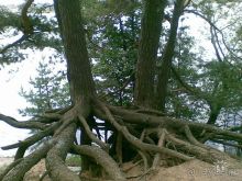 Отличные озёра.