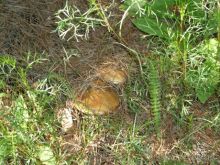 Отличные озёра.