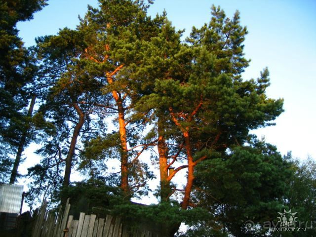 Отличные озёра.