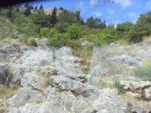 фото Grand Palladium Palace & The Royal Suites