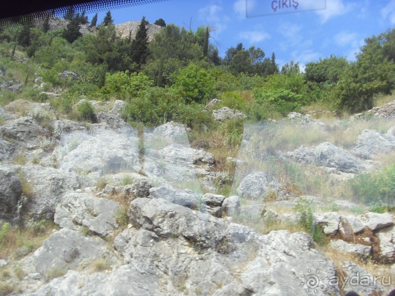 фото Grand Palladium Palace & The Royal Suites