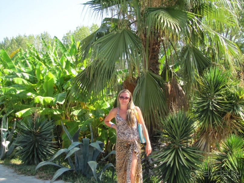 фото Grand Paradise Bavaro